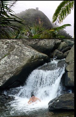 Mt. Britton tower on an el yunque peak 