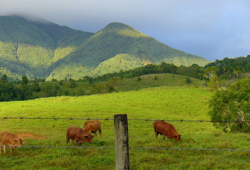 acreage for sale eastern puerto rico
