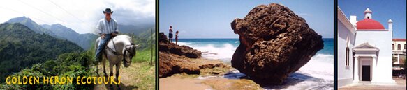 Puerto Rico hotels lodging 