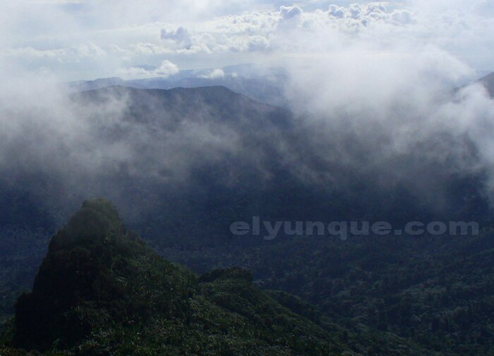 Looking west towards 3 picachos peaks from the tower at the top of El Yunque peak