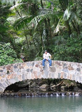 el yunque rain forest bridge at bano de oro