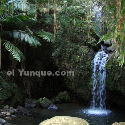 Juan Diego waterfall in the El Yunque rainforest