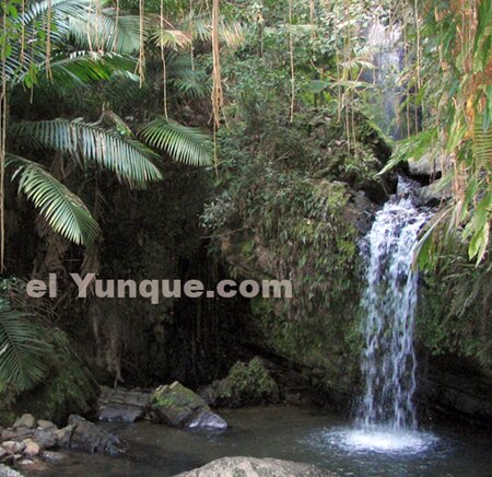 Juan Diego falls are close to road # 191