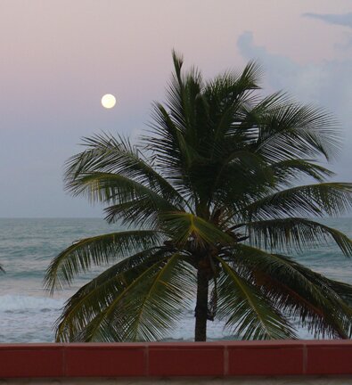 luquillo beach moonrise guesthouse view
