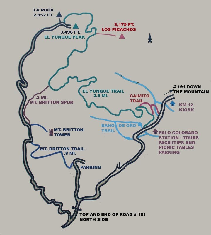 Map of the top trails of El Yunque rainforest Puerto Rico