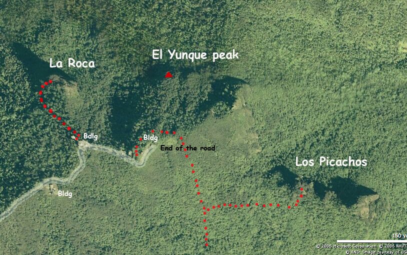 The peaks of el Yunque rainforest